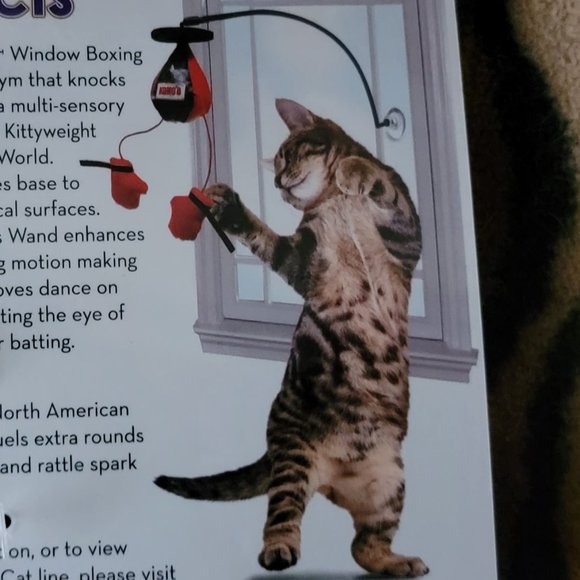 Kong Cat Window Punching Bag w/ Catnip .. New! - Picture 4 of 5